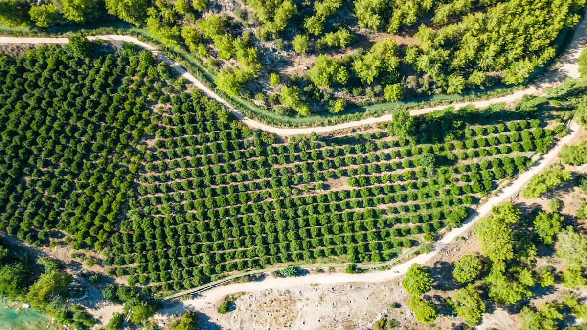 Your summer strategy should ignore industry best practices