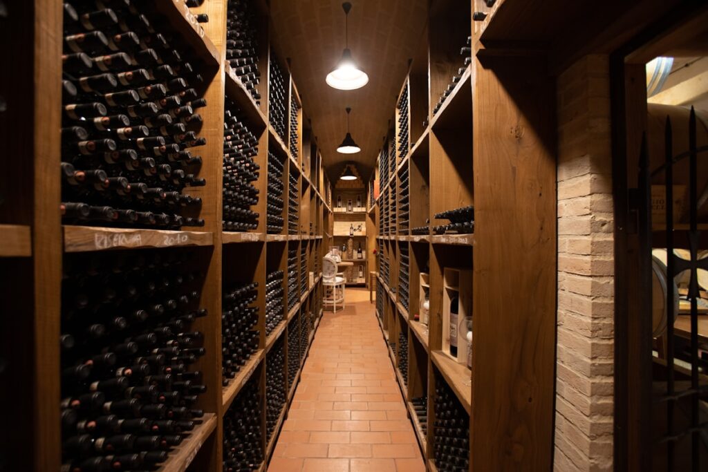 Different wines displayed on shelves in a wine cellar
