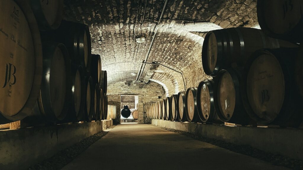 A man standing in a tunnel between two rows of wine barrels representing winery operational alignment