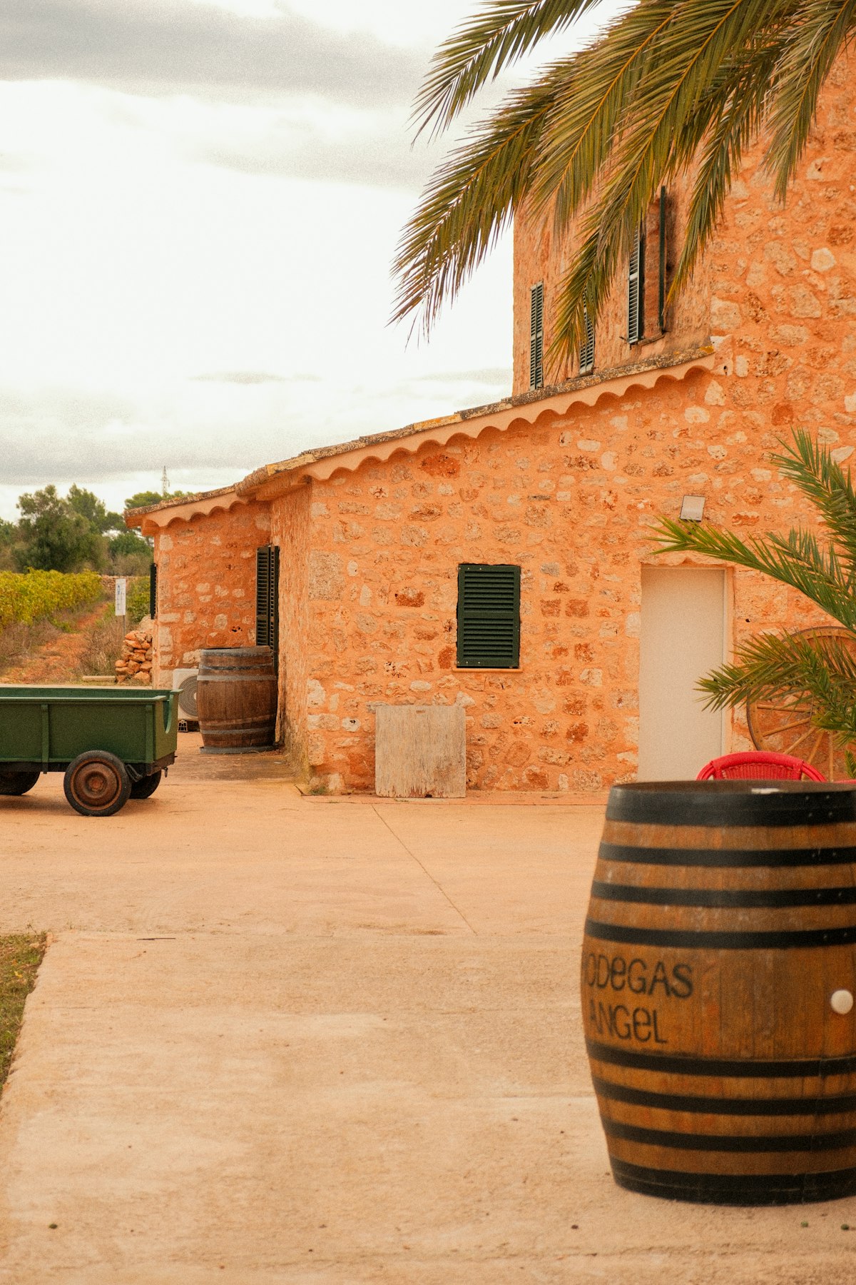 The tradition vs. efficiency lie that’s killing your wine sales