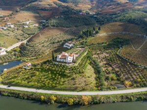 Estate surrounded by vineyards and orchards near a river - scenic wine country destination
