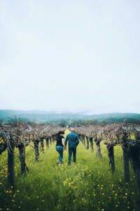 Multi-generational family gathered together representing winery succession and knowledge transfer