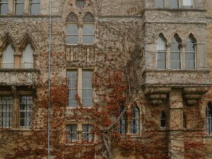 Historic stone building covered in ivy representing heritage winery modernization and the 80/20 preservation rule