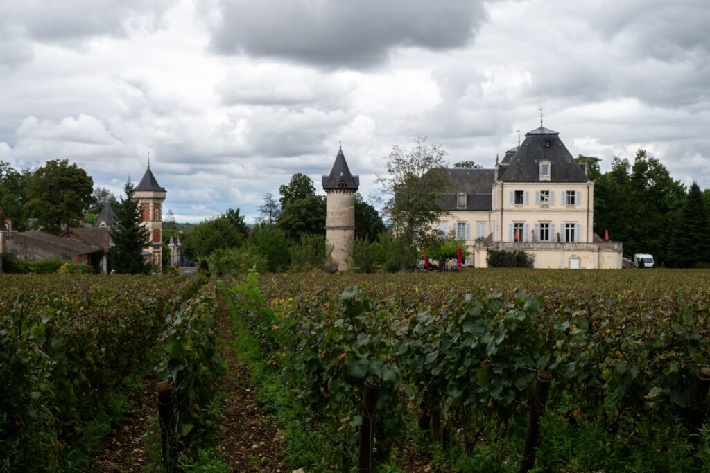 Vineyard rows leading to historic chateau with stone towers