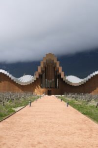 Modern winery surrounded by vineyard under dramatic sky