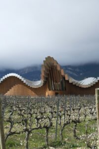 Modern winery building behind traditional vineyard rows