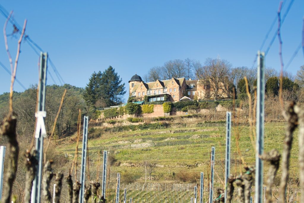 Vineyard estate representing wine community architecture and the 363 days of engagement between events