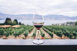 Wine tasting room staff serving guests with strategic questioning techniques