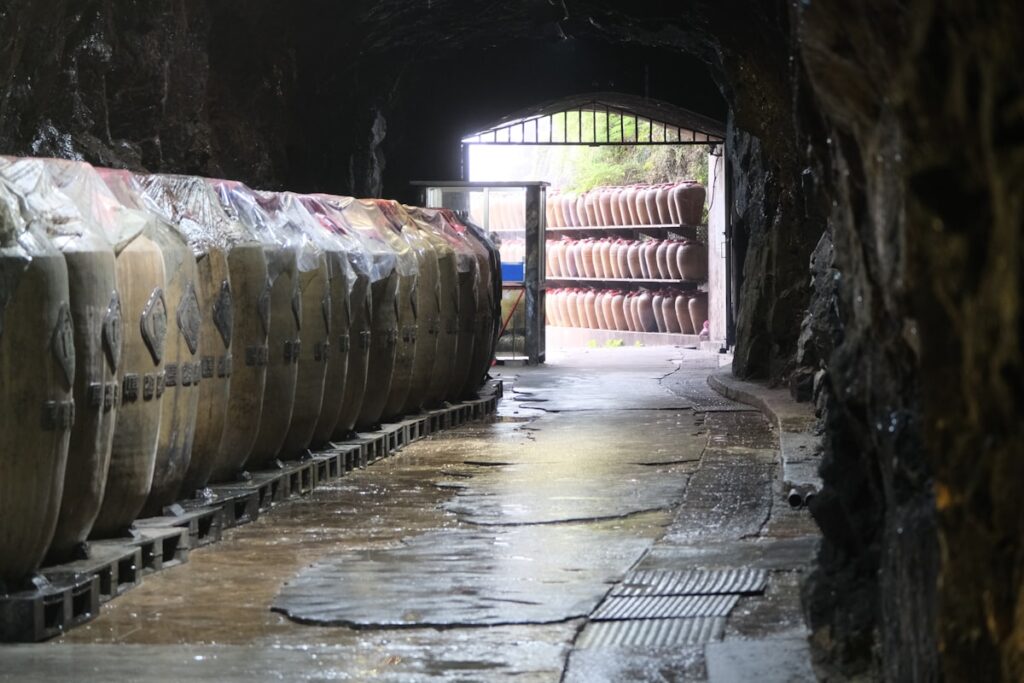 Large clay amphorae lined up in a dimly lit heritage winery cellar