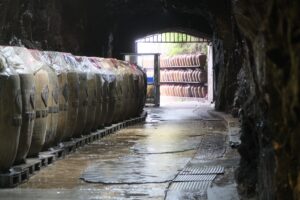 Large clay amphorae lined up in a dimly lit heritage winery cellar