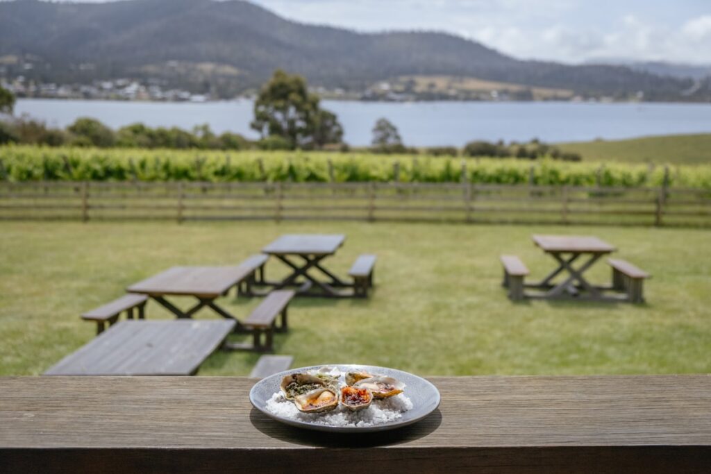 vineyard outdoor long table dinner