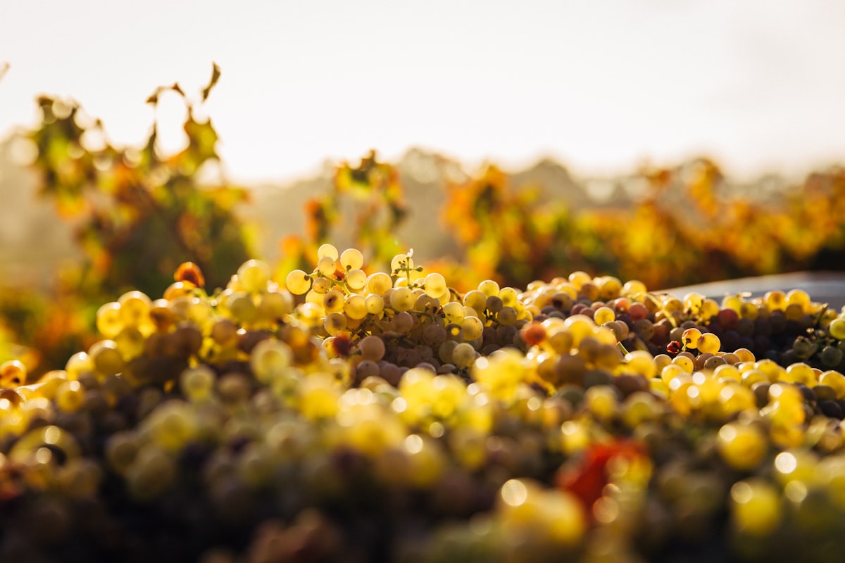 Why your $12K harvest event “failed” (It didn’t. You’re measuring wrong)