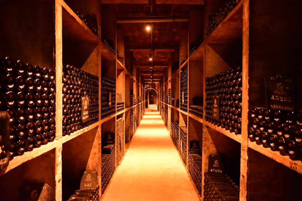 Wine cellar tunnel lined with rows of aging bottles