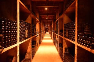 Wine cellar tunnel lined with rows of aging bottles