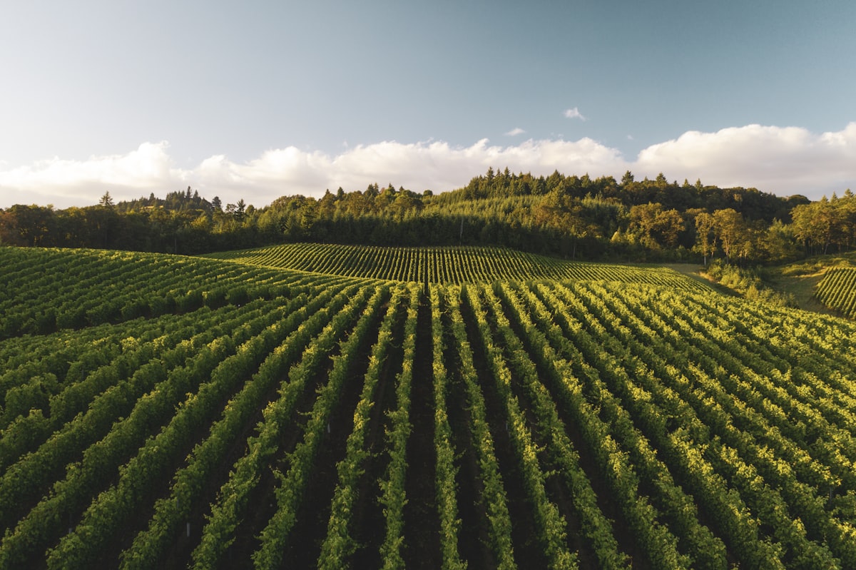 The sustainability advantage you already own (but don’t leverage)